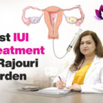 Iui treatment in rajouri garden