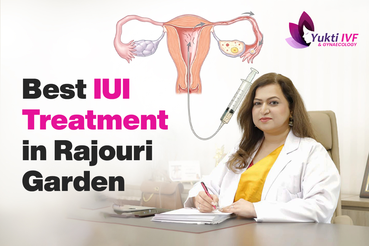 Iui treatment in rajouri garden